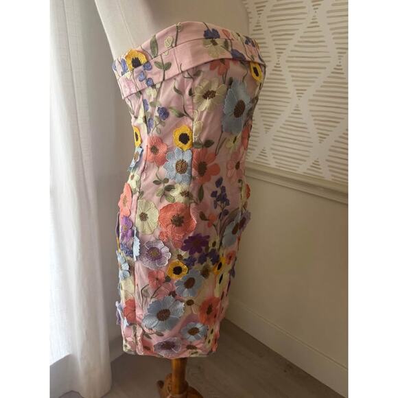 NWT Gigi & Ella Size 8 Medium Wren Pink Strapless 3D Garden Flowers Dress - Picture 8 of 9